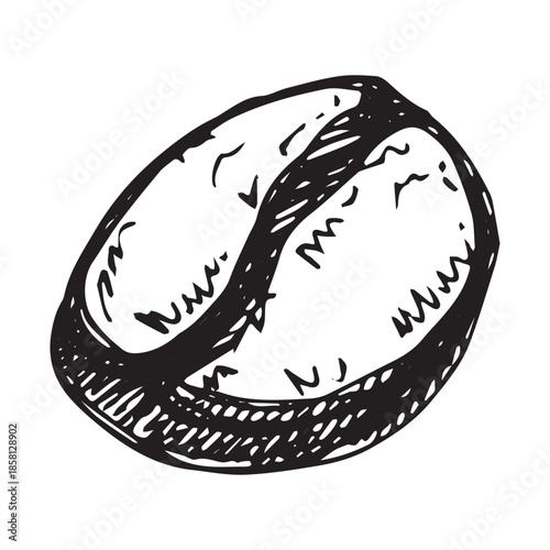Hand drawn fresh roasted coffee bean Arabica robusta seed doodle Single element for print, web, design, decor