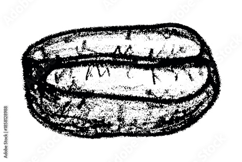 Hand drawn fresh roasted coffee bean Arabica robusta seed doodle Single element for print, web, design, decor