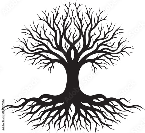 tree with roots, tree, vector, silhouette, leaf, nature, illustration, branch, plant, root, season, design, roots, black, forest, art, spring, wood, autumn, drawing, symbol, decoration, life, icon, gr