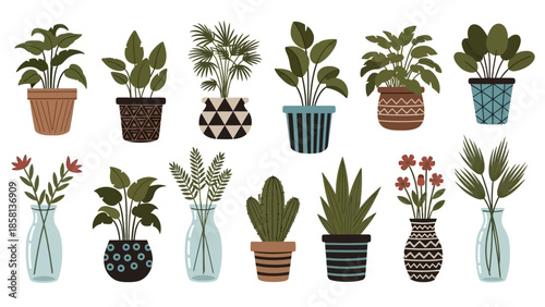 a collection of plants in pot