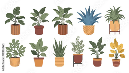 collection of plants
