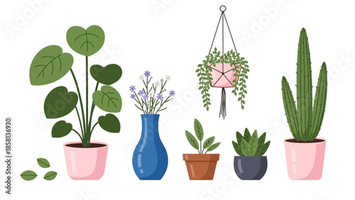 various flowers in pots
