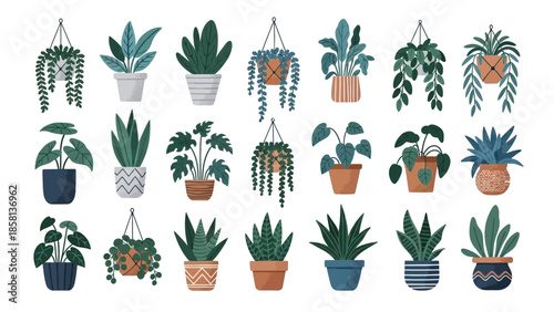set of plants
