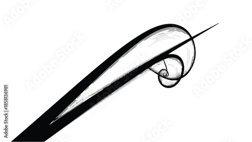 Elegant black abstract brush stroke forming a dynamic spiral on white background