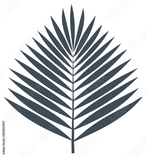 Palm leaf icon for tropical summer isolated on white background, simple vector flat style botanical illustration