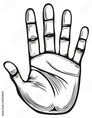 Illustration of an Open Hand with Five Fingers Extended Showing Lines and Shadows