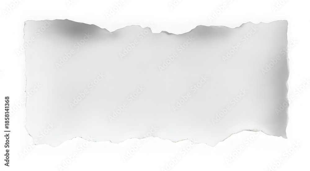 custom made wallpaper toronto digitalTorn paper rectangular tag isolated transparency background rough edge blank empty textured horizontal ripped stationery copy space creative design