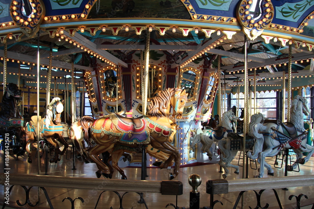 Obraz premium carousel in the park