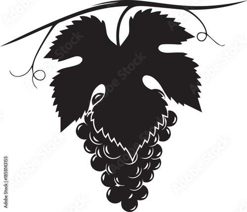 Black and white grape cluster