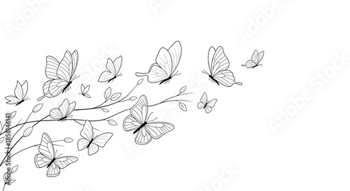 Elegant black and white line art drawing of delicate butterflies fluttering away from a thin, leafy tree branch into the air.