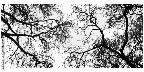 Bare tree branches reaching towards a bright overcast sky