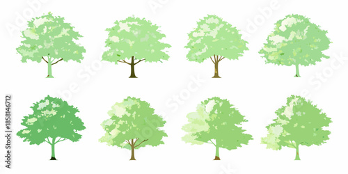 A collection of different shaped green trees on a white background