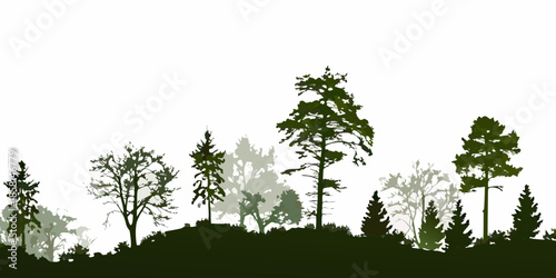 Silhouette of a forest landscape with dark trees against a bright sky