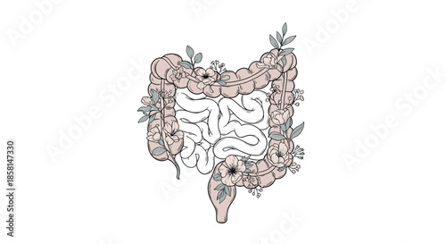 An artistic depiction of the human digestive system, showing the intestines adorned with delicate flowers and leaves for gut health.