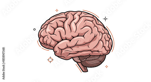 A detailed semi-realistic illustration of the human brain from a side view, highlighted with simple graphic design elements.
