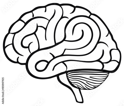 Simplified brain illustration, side view, black and white outline, concept of mental processes.