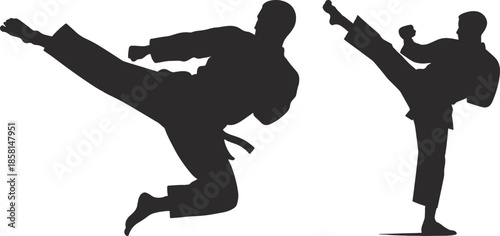 Karate Silhouette Martial Arts Action Kick Punch Training