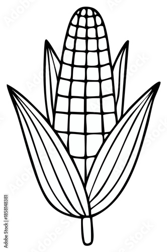 Corn Cob Simple Black and White Outline Illustration With Leaves