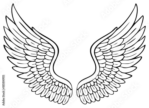 Pair of detailed wing illustration, emblem or heraldry style design
