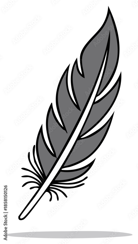 Obraz premium Stylized Gray Feather Illustration Isolated on White Background