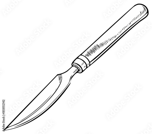 Isolated Drawing of a Sharpened Scalpel with Wooden Handle for Surgery and Crafting
