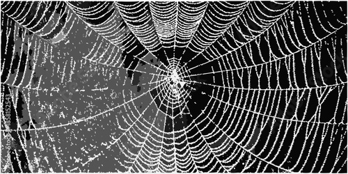 A detailed view of a spiderweb with intricate patterns and dew drops