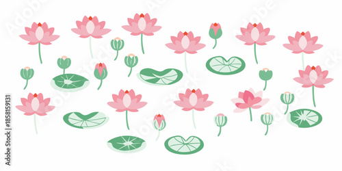 A collection of pink lotus flowers green leaves and sliced lily pads