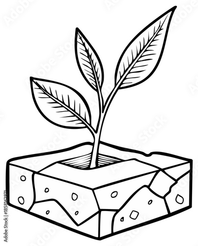 Growing plant in cracked dry earth, simple line art illustration