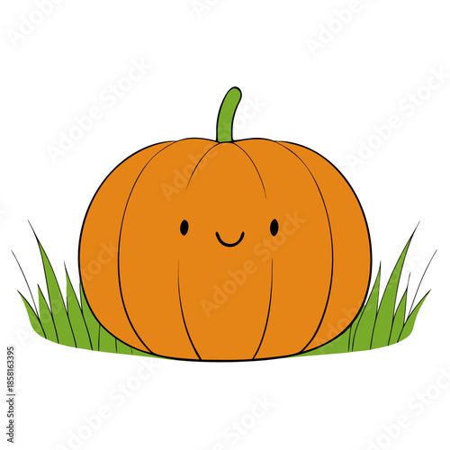 pumpkin on a white background