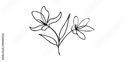 Delicate floral sketch of stems buds and leaves on a dark background