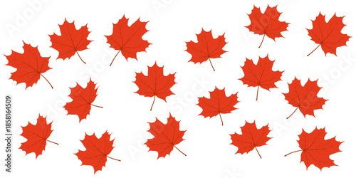 Maple leaf texture pattern vector background.