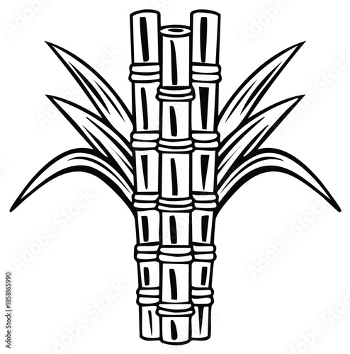 Stylized illustration of a bundle of sugarcane stalks with green leaves in a line drawing art style