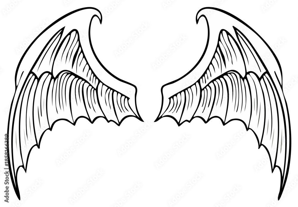 Obraz premium Detailed black outline drawing of a pair of fantasy creature bat or dragon wings perfect for mythical themes