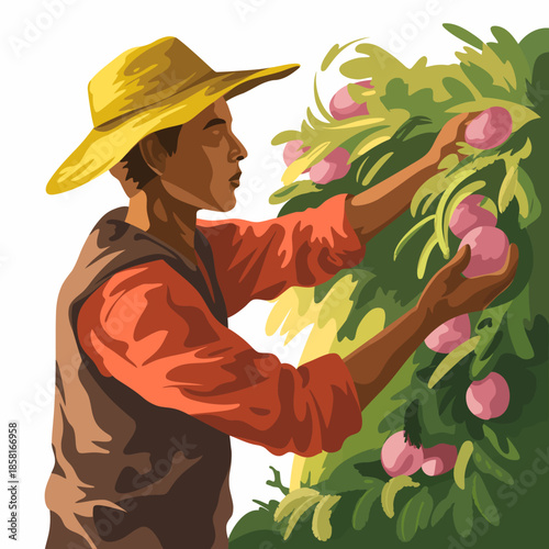 A focused farmer in a straw hat is seen diligently harvesting ripe peaches from a lush tree, showcasing dedication to agriculture and the rewarding labor of farming.