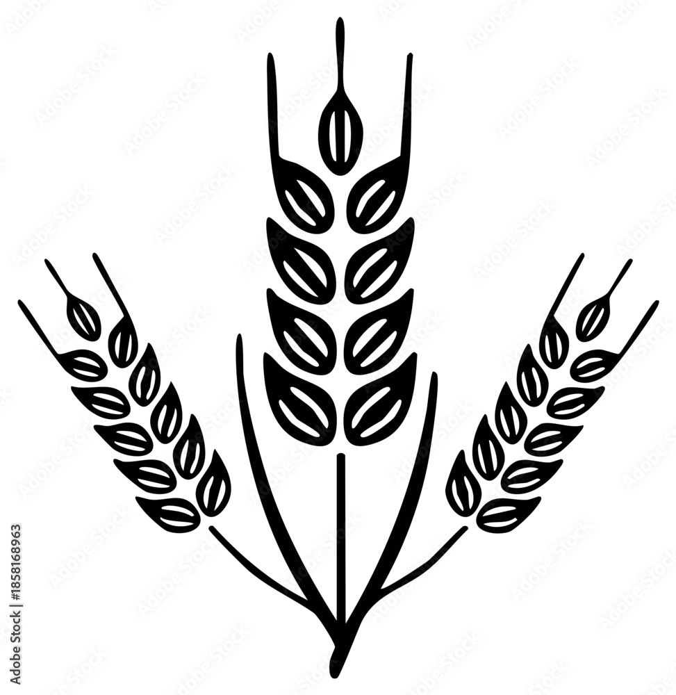 Obraz premium Wheat plant graphic icon isolated on white background.