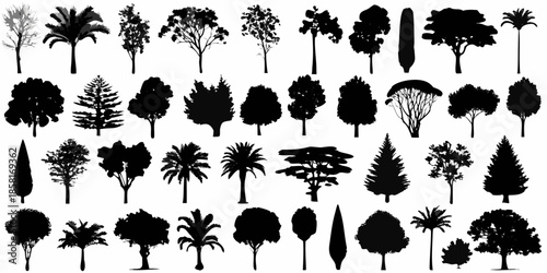 Collection of diverse tree silhouettes against a clean white background