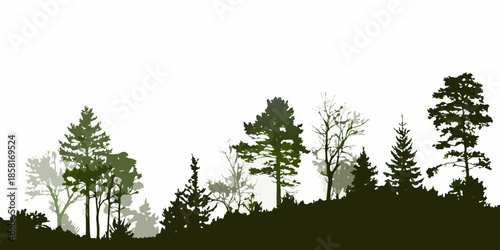 Silhouetted forest landscape with varying tree heights and dark green tones