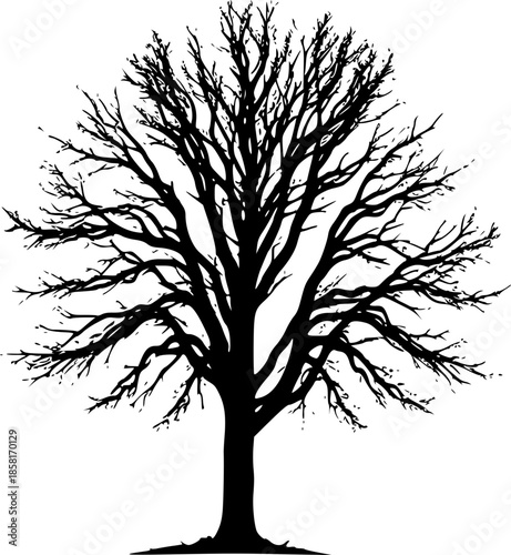 Climate Crisis Illustration Half Dry Tree Nature Warning