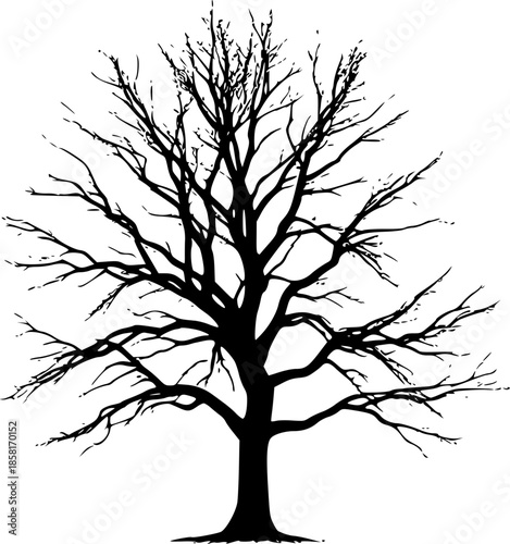 Nature Imbalance Concept Tree Half Green Half Barren