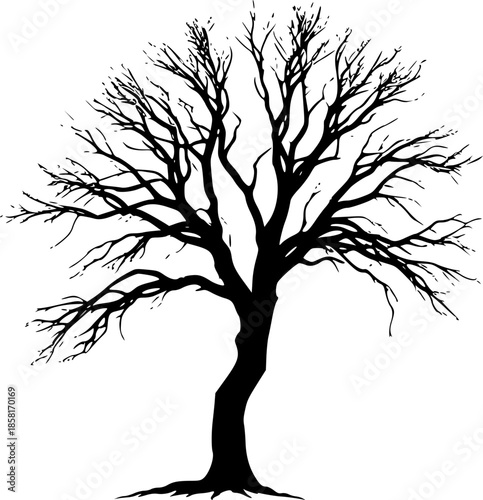 Tree Half Green Half Dry Climate Crisis Nature Design