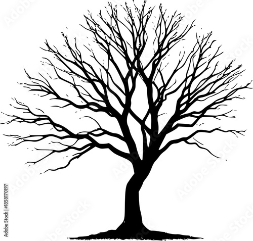 Deforestation and Climate Change Half Bare Tree Concept