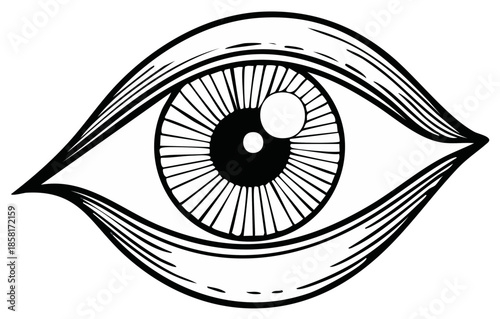 Stylized Eye Illustration with Radial Pupils and Eyelid Detail in Black and White Line Art