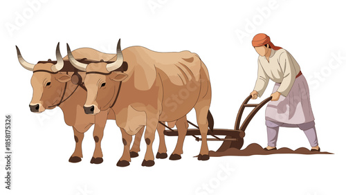 Farmer Plowing Field with Oxen.