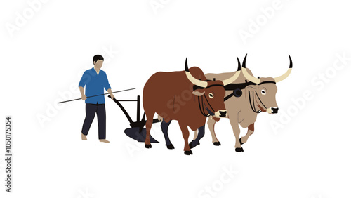Farmer Plowing Field with Two Oxen.