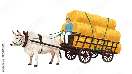 Farmer driving ox cart loaded with hay bales.