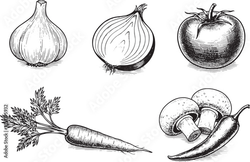 A captivating monochrome illustration showcases a selection of fresh vegetables. Including garlic, onion, tomato, carrot, mushroom and pepper.