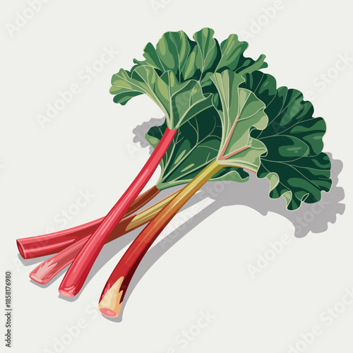 A vibrant display of fresh rhubarb stalks showcasing their rich colors and textures, highlighting their culinary potential and appeal in delicious dishes and desserts.