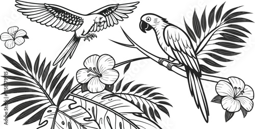 A detailed illustration in a black and white, engraved style depicts several elements of a tropical scene. The main subjects are three parrots; one is perched on a branch, in a three-quarter profile f