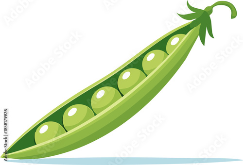 Flat vector illustration of an open green pea pod with fresh peas inside, isolated on white background. Generative AI