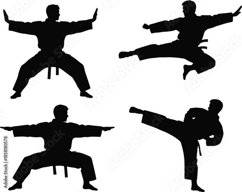 Set of martial arts silhouettes featuring karate fighters in action, high kicks, jumping strikes, and defensive stances, professional combat sports training icons,